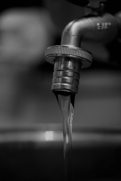 Des ingrédients de qualité sélectionnés avec soin