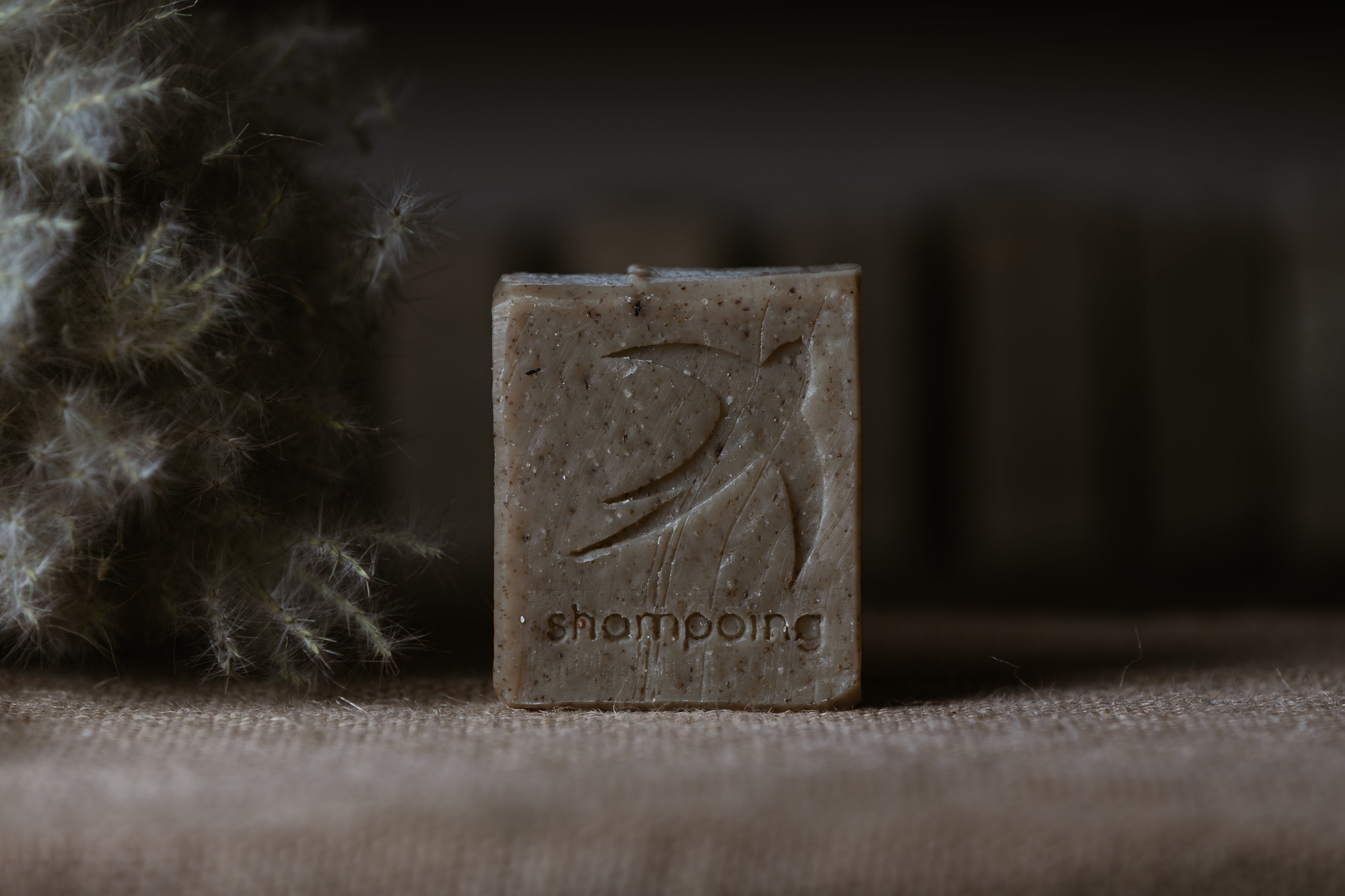 savon shampoing 100g